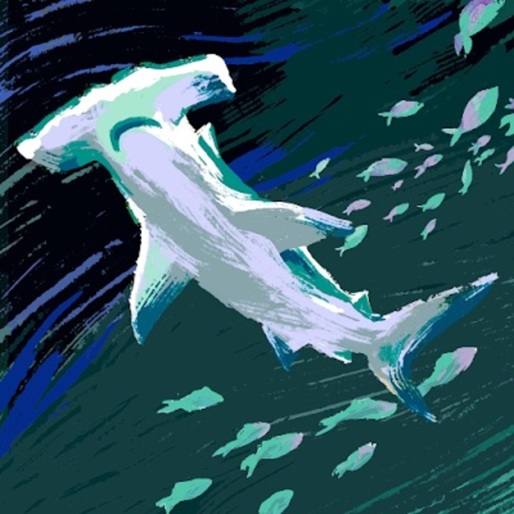 Meet your Posher, Deanna